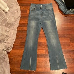 Vervet Flare Denim Jeans